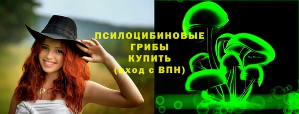 стаф Белоозёрский