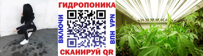 Шишки марихуана Ganja  Дигора 